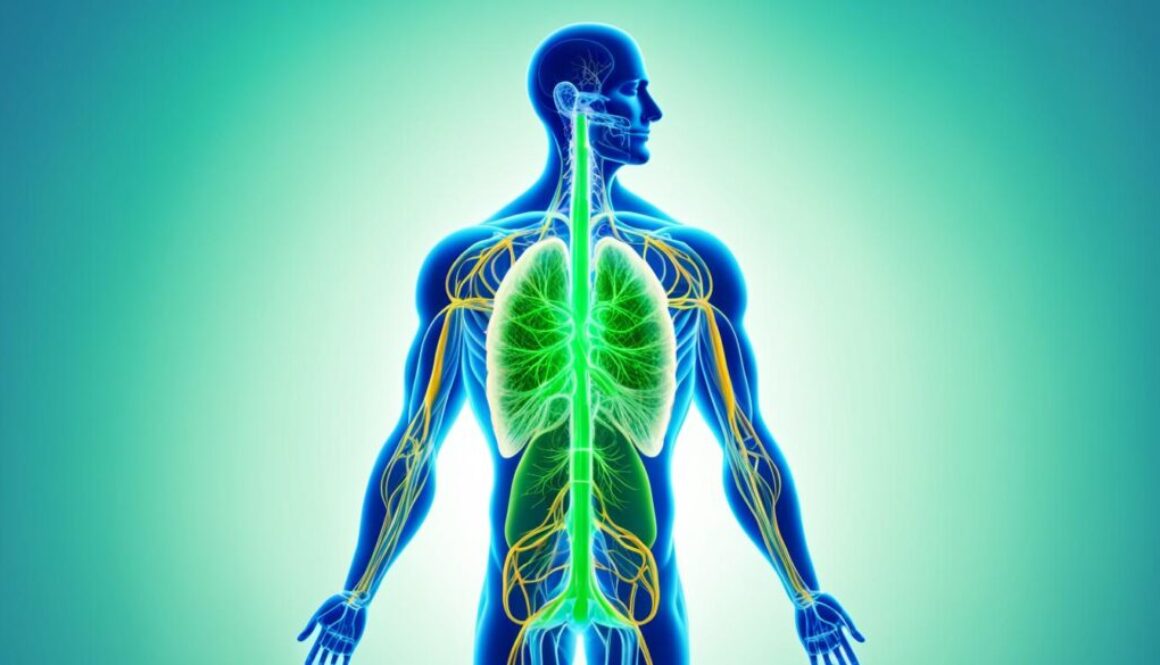 wie wirkt cbd auf den körper