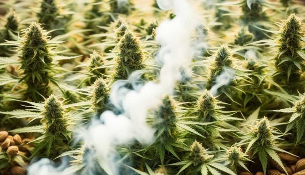 cannabis samen rauchen